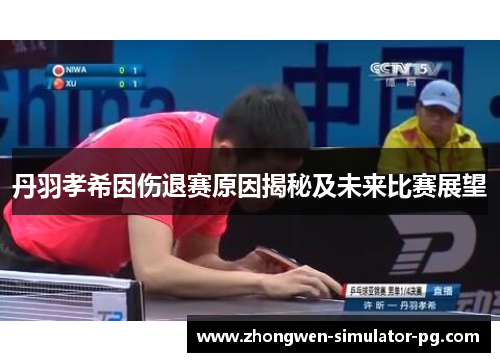 丹羽孝希因伤退赛原因揭秘及未来比赛展望