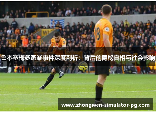 鲁本塞梅多家暴事件深度剖析：背后的隐秘真相与社会影响