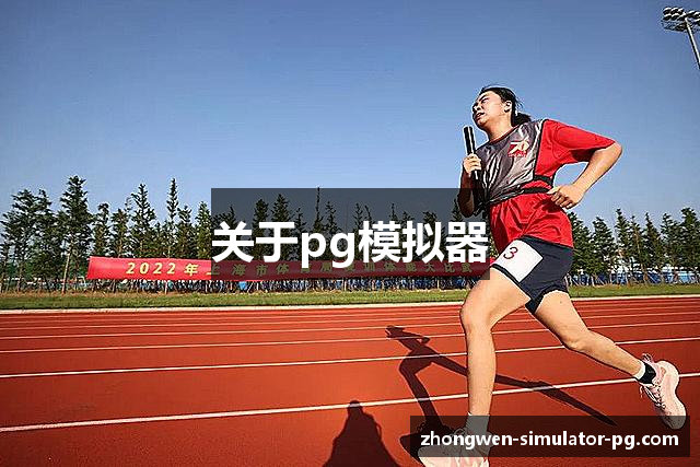 关于pg模拟器